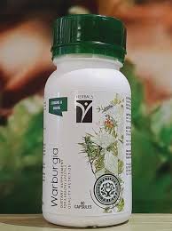 Image result for Warburgia