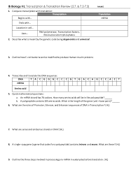 Dna transcription and dna translation. 34 Protein Synthesis Simulation Worksheet Answers Free Worksheet Spreadsheet