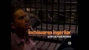 Film de actiune cîinele sălbatic. Inchisoarea Ingerilor The Shawshank Redemption Sua 1994 Youtube