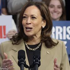 Pollster Jim McLaughlin told Newsmax that polls, especially biased ones,  don't always tell the full story, in response to a poll conducted by The  New York Times, showing Vice President Kamala Harris