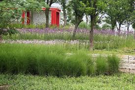 Lotus Lake Park Ipd Kunshan 10 Landscape Architecture Works Landezine Urban Design Plan Landscape Design Garden Design