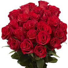 Amazon fresh cut flowers delivery. Amazon Com Fresh Flowers 50 Red Roses Guaranteed Next Day Delivery Grocery Gourmet Food