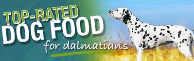 Best Dog Food For Dalmatians Puppies Adult Diet Nutrition