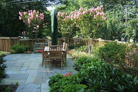 Check spelling or type a new query. Great Design Plant Crape Myrtle