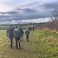 Houlton Walk event image