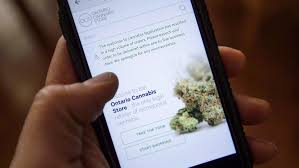 Check spelling or type a new query. Buying Cannabis With A Credit Card Why You Should Think About Privacy Ctv News