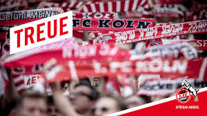 A collection of the top 81 koln wallpapers and backgrounds available for download for free. 1 Fc Koln Wallpapers Wallpaper Cave