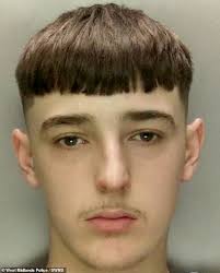 Teen who sold drugs using Harry Potter house elf Dobby as an alias and left  female cyclist seriously injured in car crash is jailed