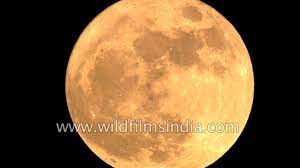 Tourists are welcome to witness and in some. Super Moon Seen From New Delhi Today Youtube