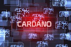 We used 0.758731 international currency exchange rate. Cardanians Io Stake With Us Crdn3 Or Crdn2 On Twitter If You Hold 50 000 Ada Staking Reward Will Be 8 Per Year And Cardano Shelley Test Net Will Run For 3