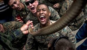 Even pilots and jags are capable of serving in. Peta Rips Marine Corps For Cruel Cobra Gold Training Pushes Vegan Options For Jungle Survival Washington Times
