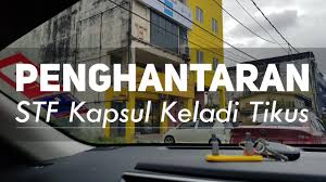 Simptom dan tanda kanser hati. Kanser Hati Kanser Tahap Serta Kaedah Yang Digunakan Untuk Merawatnya