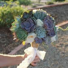 Weddings bouquets bouquets for weddings bouquet weddings korean wedding bouquets artifical wedding bouquets blue hydrangea wedding bouquets chinese wedding bouquets custom silk obtain premium wedding bouquets at sustaining figures! Cuttings Wedding Rosette Succulents Wedding Succulent Favors For Sale Bulk Succulents