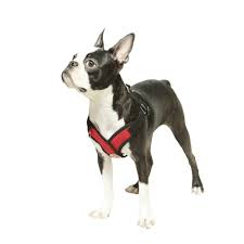 Details About Gooby Choke Free Step In Comfort Dog Harness Red X Large