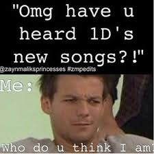 Who Do You Think You Are Who Do You Think I Am I See What U Did There One Direction Humor One Direction Memes I Love One Direction