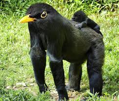 This Artist Can T Stop Creating Weird And Wonderful Animal Hybrids In Photoshop Weird Animals Weird Looking Animals Photoshopped Animals