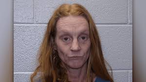 15 animals seized after deputies find dead dogs, 'deplorable' living  conditions