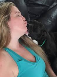 New therapy team with canine companion