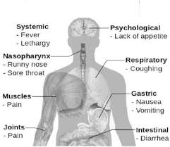 Scientists say the swine flu vaccine will be similar to the flu vaccines provided annually with little fanfare. 2 Structure Of Swine Flu Download Scientific Diagram