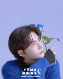 𝐏𝐨𝐥𝐚𝐫𝐢𝐬