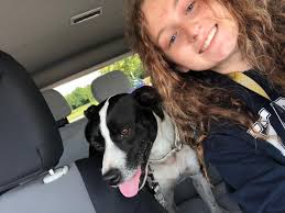 Anyone missing a dog