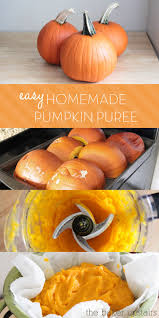 Easy Homemade Pumpkin Puree Somewhat Simple Recipe Homemade Pumpkin Puree Homemade Pumpkin Pumpkin Puree Recipes