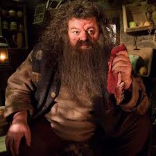 Robbie Coltrane Once Got A Fruit Bat Stuck In His Beard During A Scene In Hagrid S Hut Harrypot Harry Potter Wiki Harry Potter Characters Harry Potter Actors
