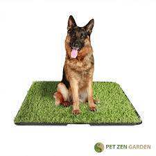 The product dimensions are 16x 24 x 3 and it weighs 9 pounds. Party Joy Pet Potty Grass Mat Reviews Wayfair