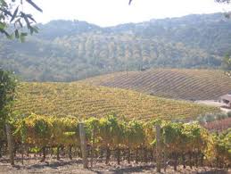 Tablas Creek Paso Robles Our Tasting Room Is Open Daily From 10 00am To 5 00pm And Features A Full Tasting Of Our Wi Places To Go Paso Robles Wine Country