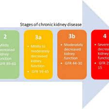 Gradual decrease of kidney function over time. Five Stages Of Chronic Kidney Disease Based On The Estimated Glomerular Download Scientific Diagram