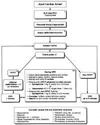 The primary drugs are the medications that are used directly in an acls algorithm. 7c A Guide To The International Acls Algorithms Resuscitation