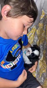 Say hello to the newest additions to our little family! Oreo and Johnny  have stolen our hearts ❤️