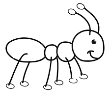 Esta imagem corresponde a uma galeria de desenhos de desenhoswiki.com e tem uma resolução de 681 x 665 px. Desenhos De Formigas Para Imprimir E Colorir Animais Para Colorir
