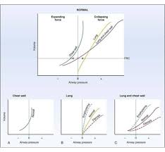 Lung compliance is the ability of the lungs to expand. Mechanics Of Breathing Respiratory Physiology Physiology 5th Ed