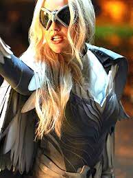Alan ritchson minka kelly joins titans as hawk dove. Dawn Granger Titans Dove Leather Jacket Danezon