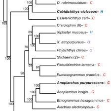 Donovan P. German's research works
