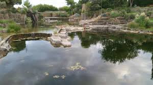Le Jardin De Saint Adrien Photo De Le Jardin De Saint Adrien Servian Tripadvisor