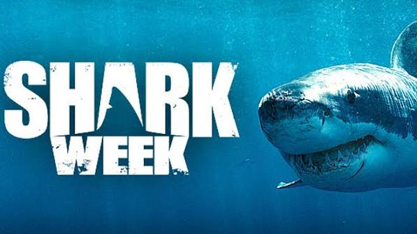 What's Worth Interrupting Shark week? CFD2 | The IT Hollow
