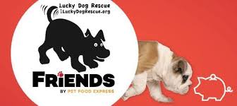 Maybe you would like to learn more about one of these? Lucky Dog Rescue Dog Adoption Tri Valley California
