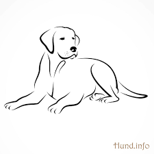 Ausmalbilder Mit Hunden Hunde Hunde Silhouette Hund Illustration Hundezeichnung