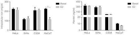 Precipitation of uric acid in the renal tubules. 17b Estradiol Induced Mitochondrial Dysfunction And Warburg Effect In Cervical Cancer Cells Allow Cell Survival Under Metabolic Stress
