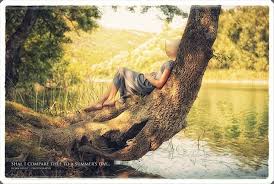 Shall I Compare Thee To A Summer S Day Thou Art More Lovely And More Temperate Rough Winds Do Shake The Darling Buds Of May And Summer S Lease Hath All Too S