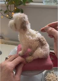 Curly Wurly Dog Coat: Stay Tuned for the Collar Reveal!