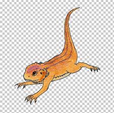 2,879 gecko clip art images on gograph. Rankins Dragon Cartoon Lizard Drawing Illustration Png Clipart Amphibian Animals Art Beard Bearded Collie Free Png