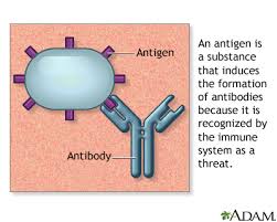 Antigens Mclaren Health Information Health Information