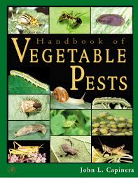 Right here websites for downloading free pdf books which you could acquire all the knowledge as you. Pdf Handbook Of Vegetable Pests Tuan Dat Nguyen Academia Edu