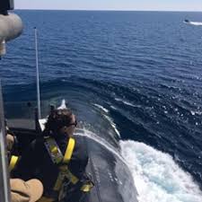 Image result for Erica nyassana