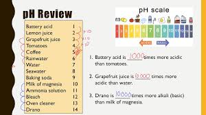 Ph of fruit juices and fruit drinks.* fruit juices. Acid Base Neutralization And Indicators Ppt Download