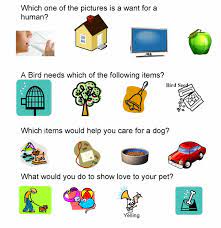 Lesson Plan Pets Have Needs Too Pets Preschool Girl Scout Activities Classroom Fun