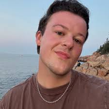 Looking for a roommate near Redline, Wrigley area